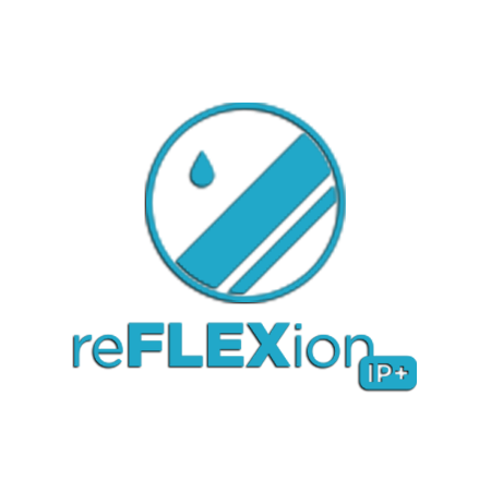 reFLEXionIP-MainLogo