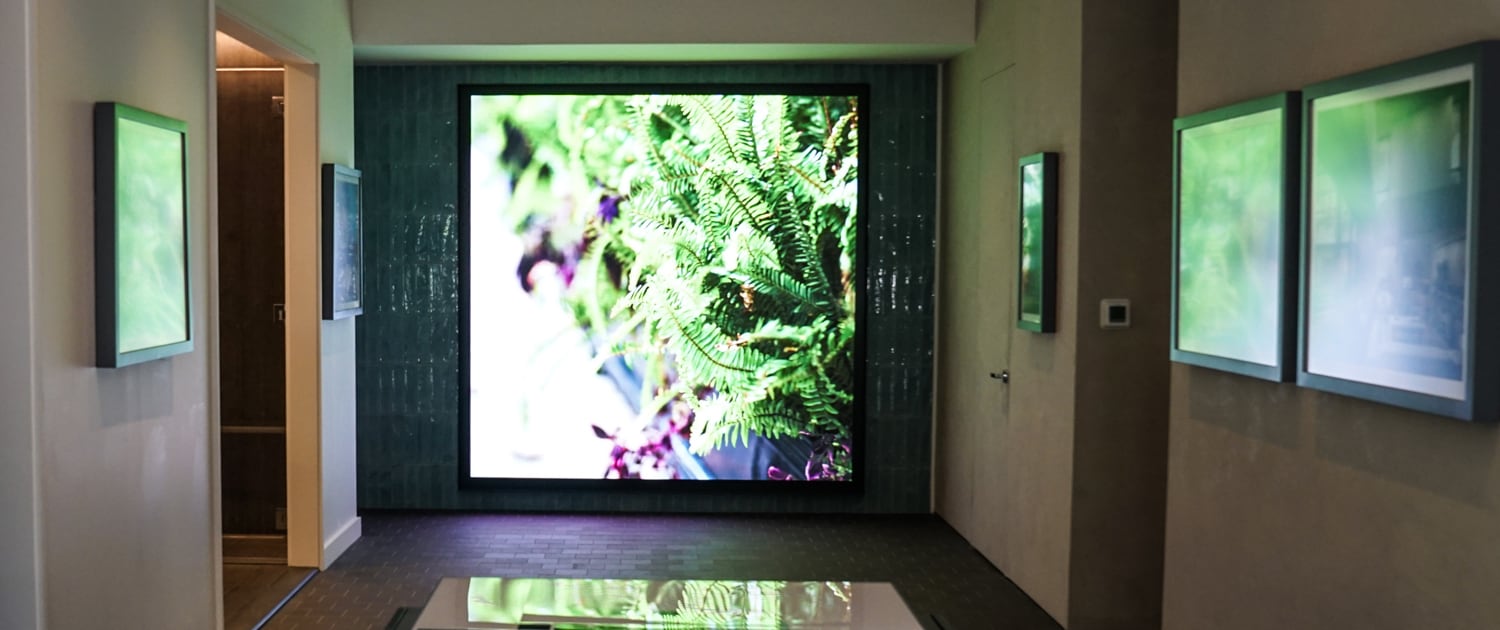 77 Charlton LED Screen by Pixelflex Displaying Plants